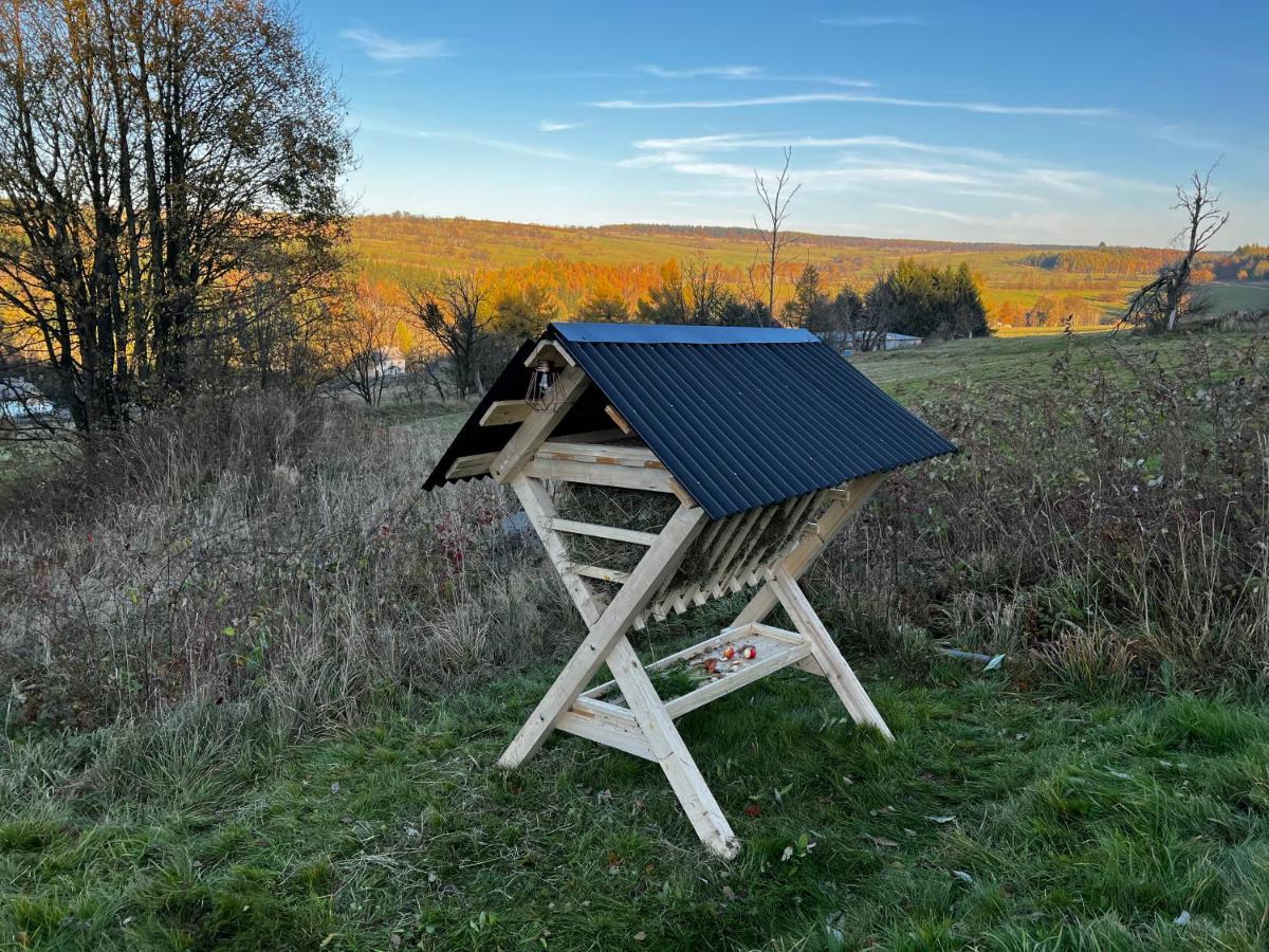 Luxus Ferienhaus Erzgebirge In Alleinlage Altenberg Buitenkant foto